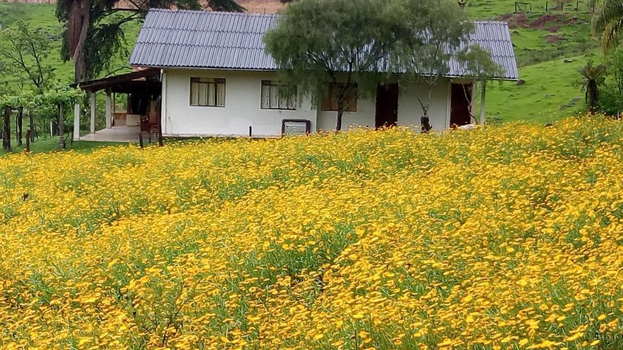 Sitio Kanisfluh Treze Tílias Dış mekan fotoğraf