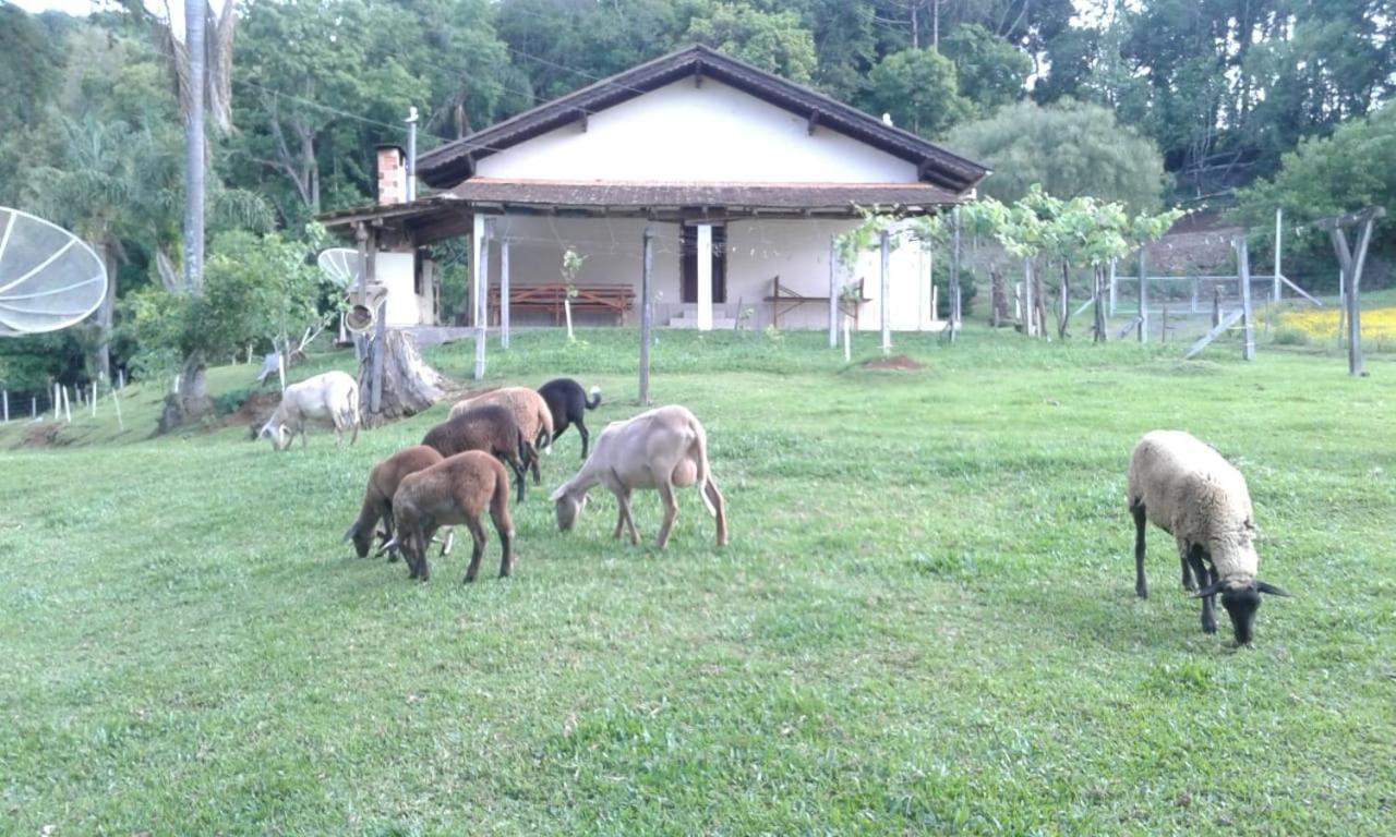 Sitio Kanisfluh Treze Tílias Dış mekan fotoğraf